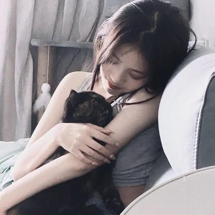 熊的乔纳森